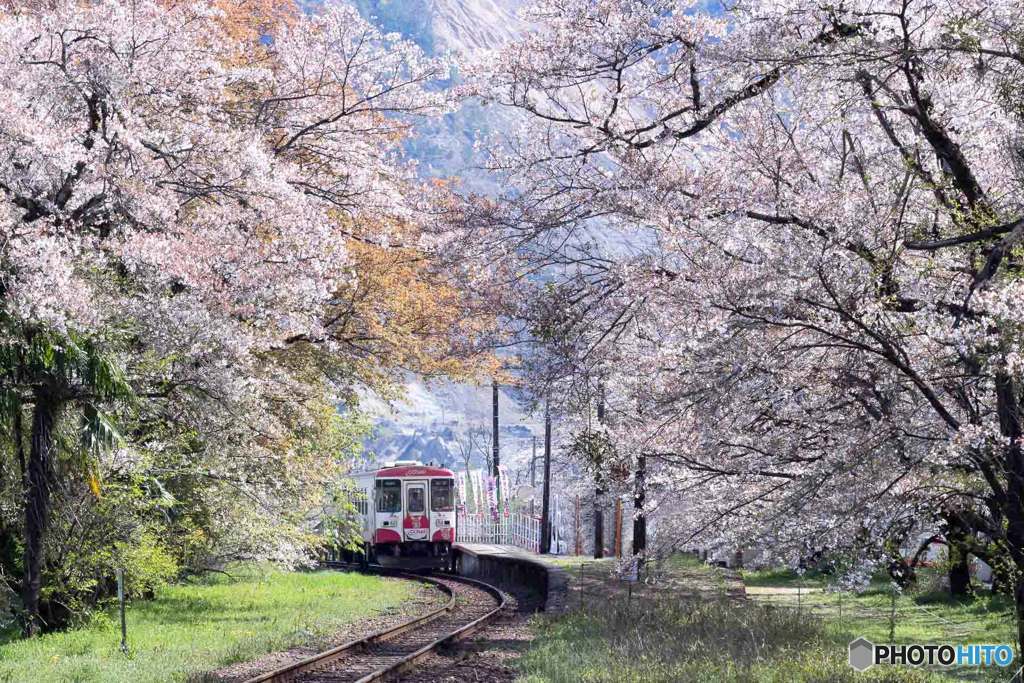樽見鉄道