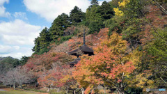 京都紅葉便り ⑤