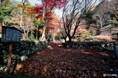 敷紅葉