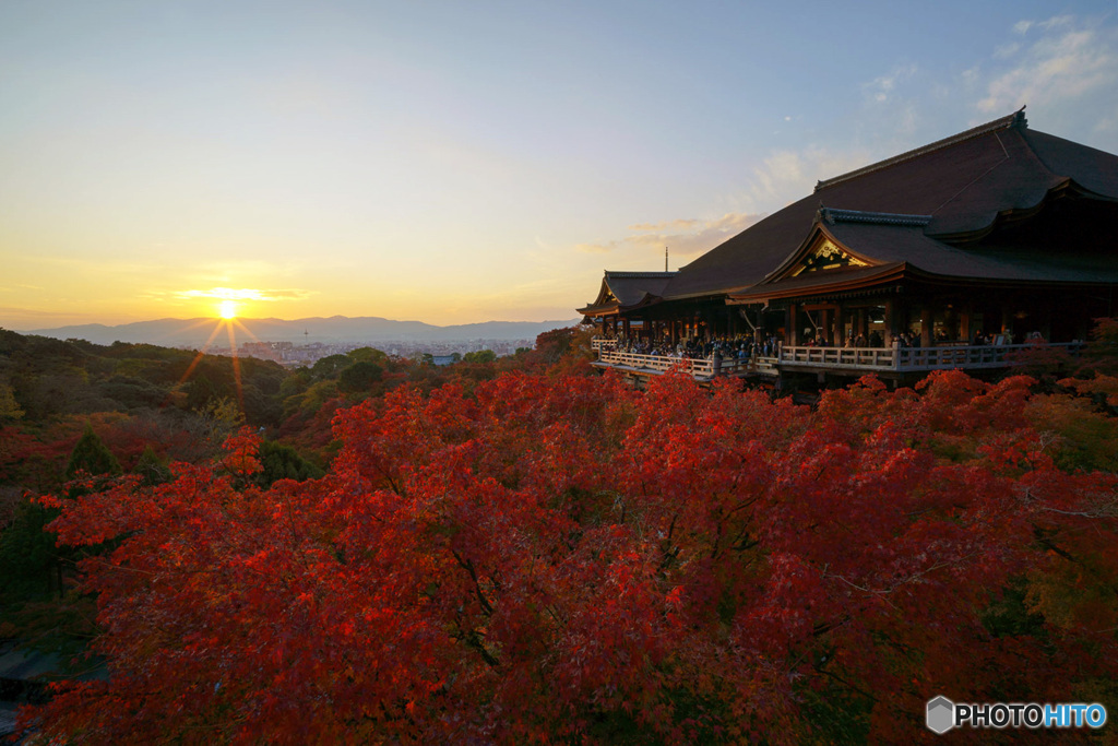 京都紅葉巡り