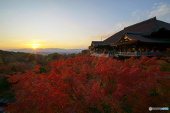 京都紅葉巡り