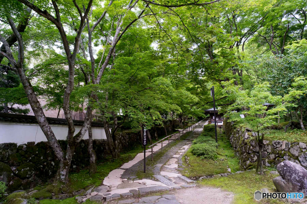 金剛輪寺参道