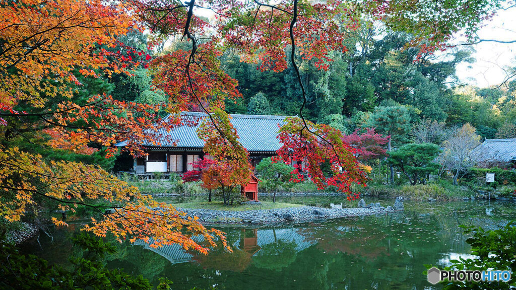 本堂と紅葉