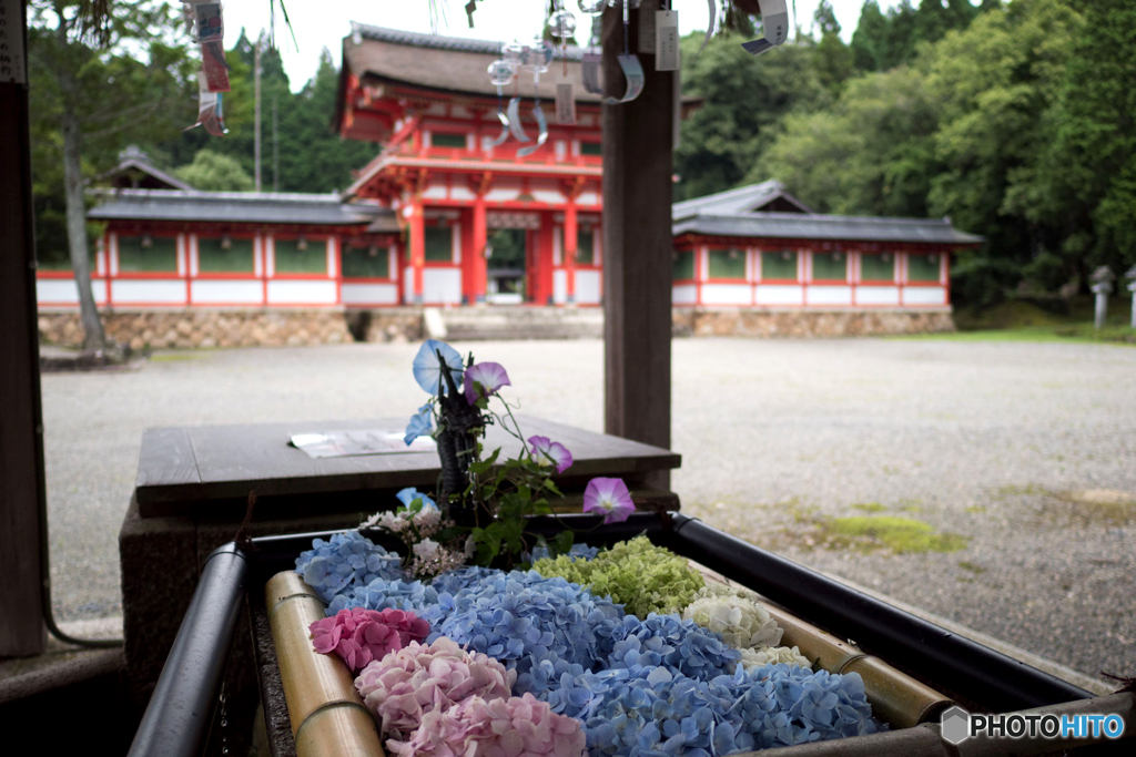 花手水