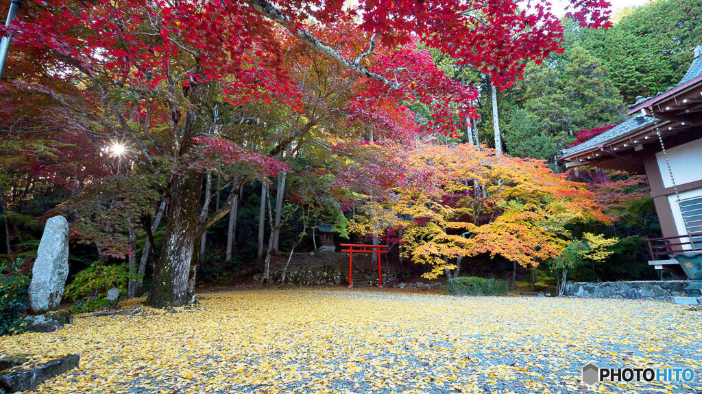 丹波紅葉めぐり ⑦