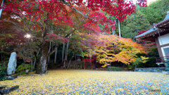 丹波紅葉めぐり ⑦