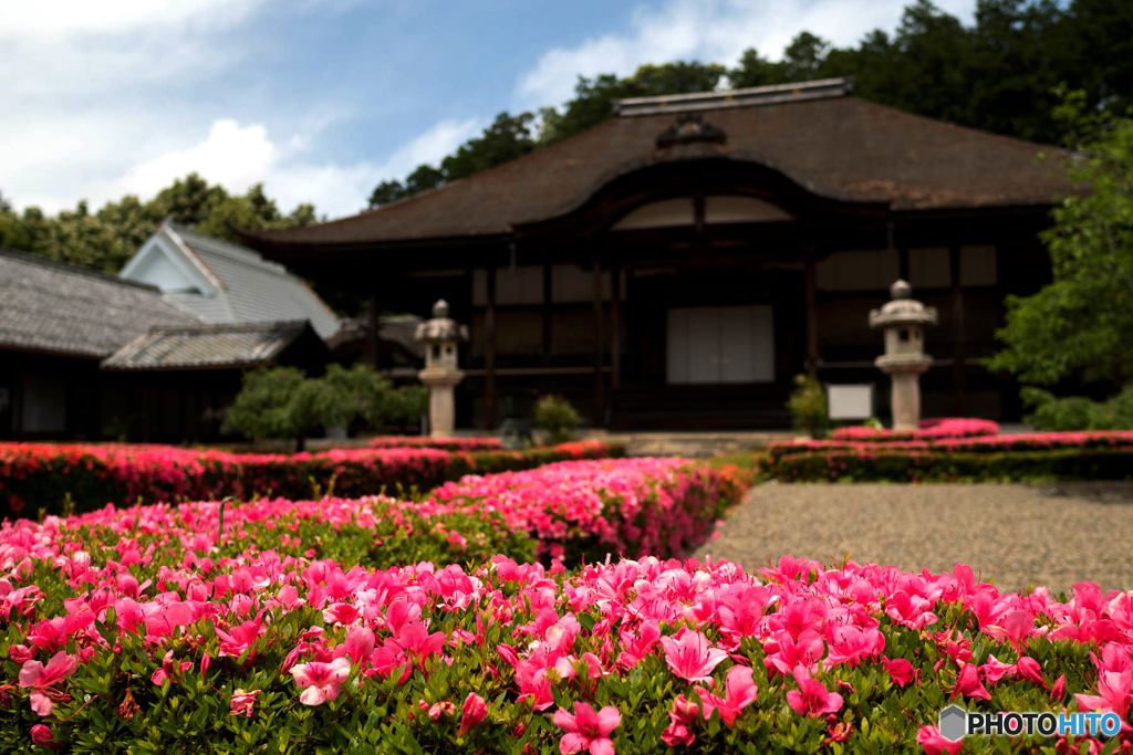 さつき寺