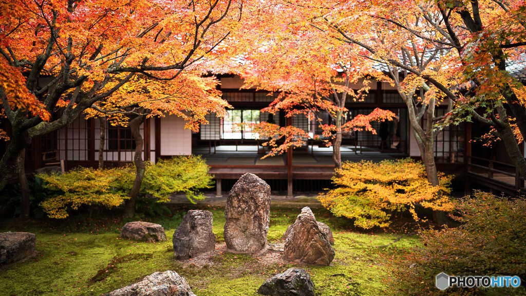 京都紅葉狩り ㉖