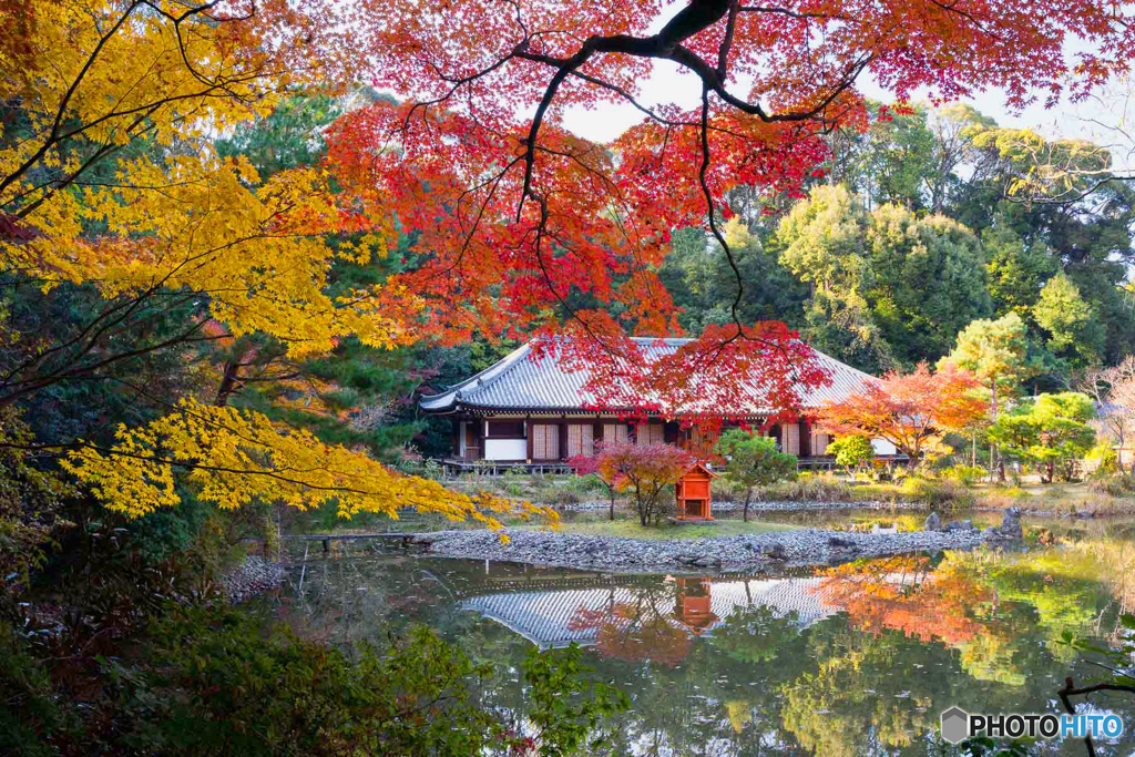 紅葉・黄葉