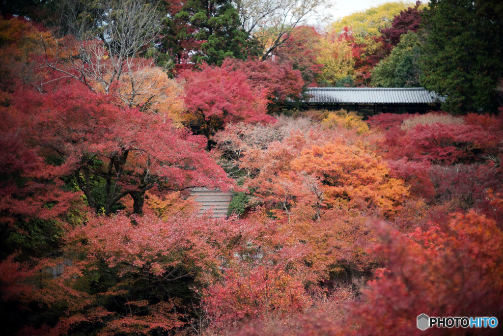 東福寺