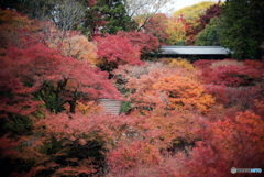 東福寺