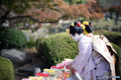 祇園小唄祭