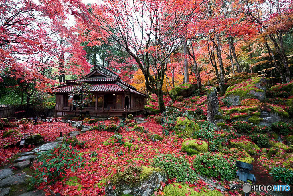 敷紅葉