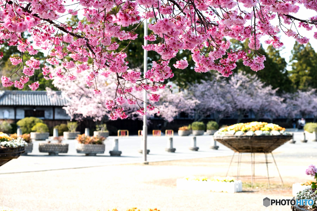 Spring