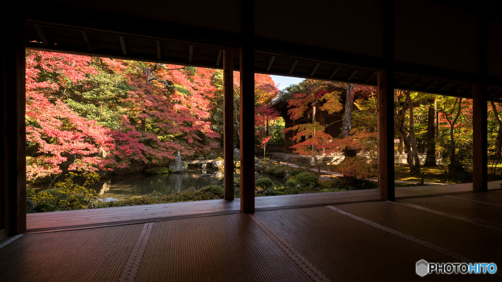 洛北蓮華寺