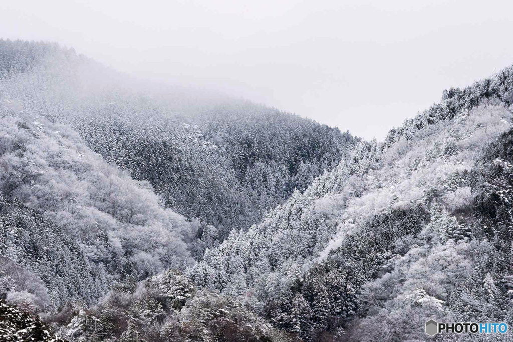 裏山