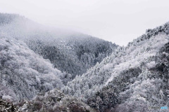 裏山