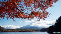 残り紅葉と富士