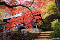 絶景
