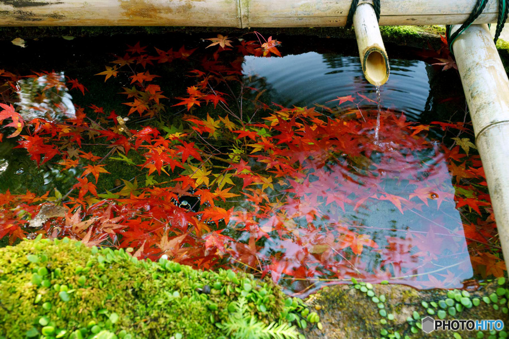 紅葉手水