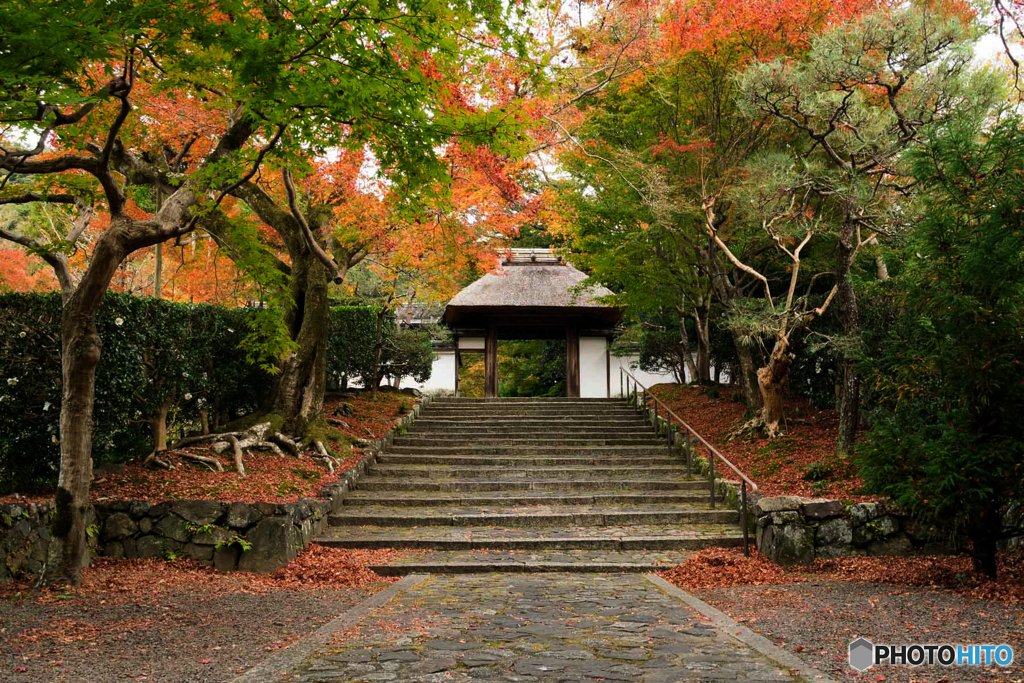 安楽寺山門