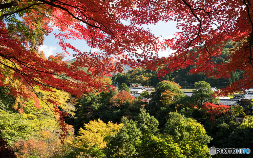 永源寺紅葉