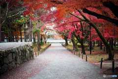 残り紅葉