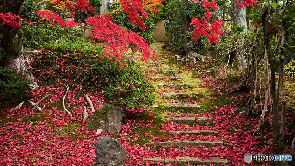 京都紅葉狩り ⑨