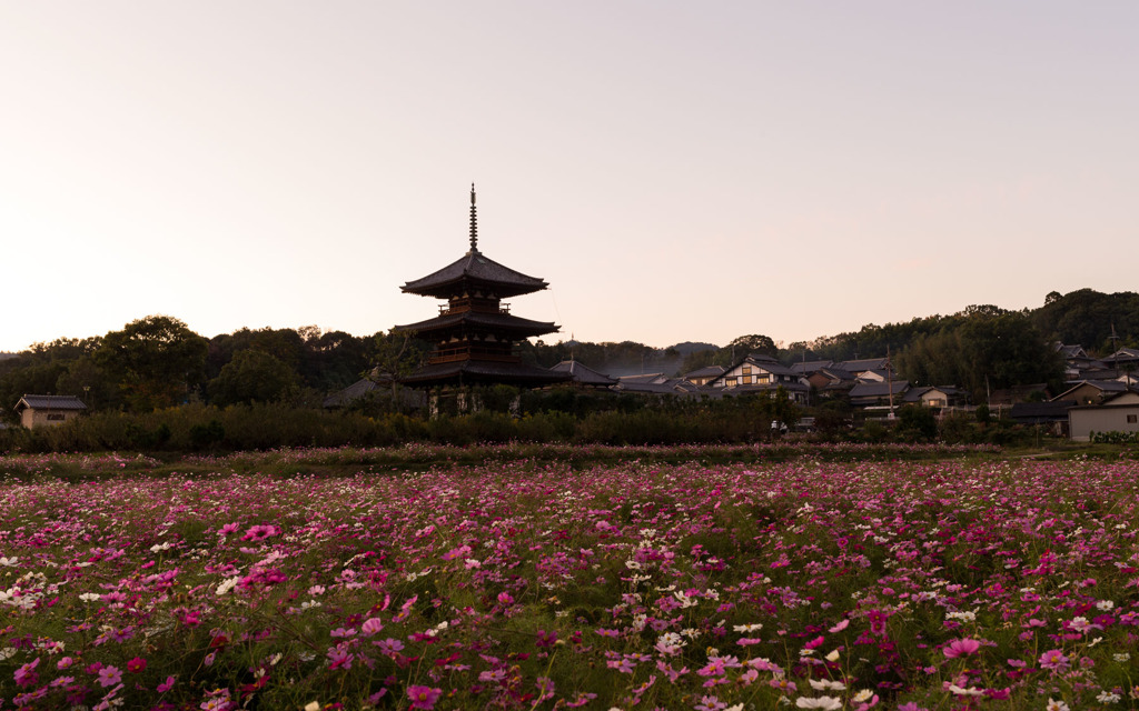 夕焼け