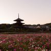 夕焼け