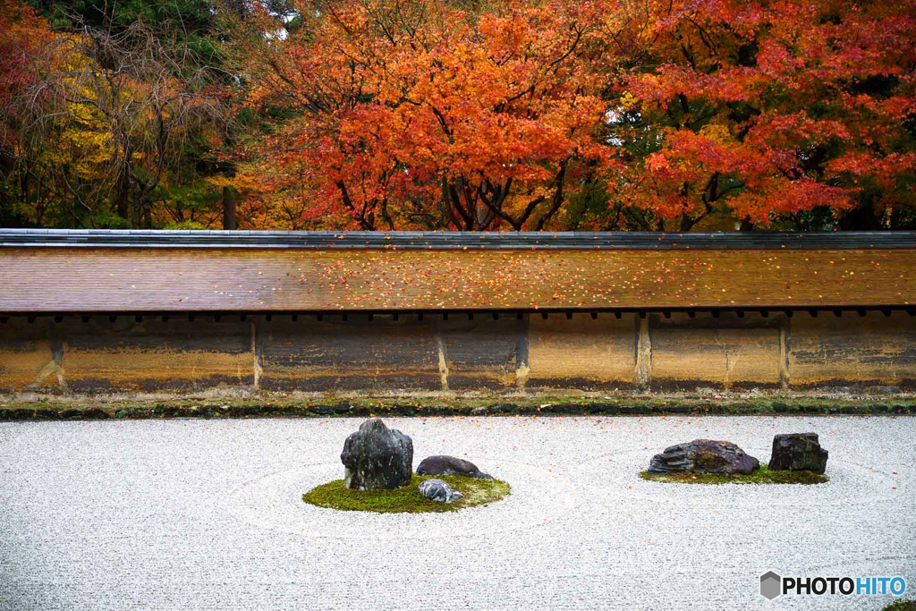 京都紅葉巡り