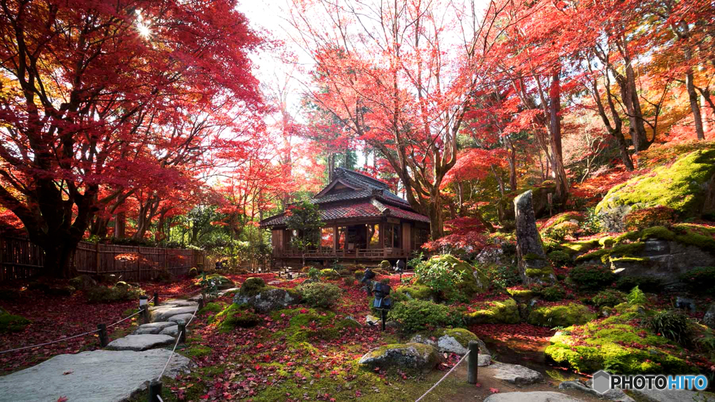 紅葉