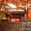 山門と紅葉