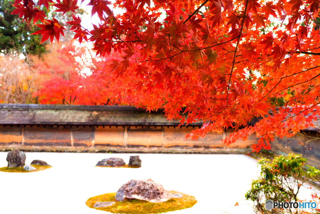 紅葉と庭園