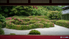蓬莱庭園