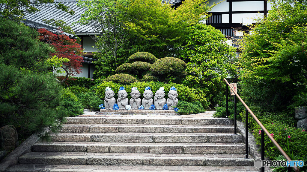 地蔵と紫陽花