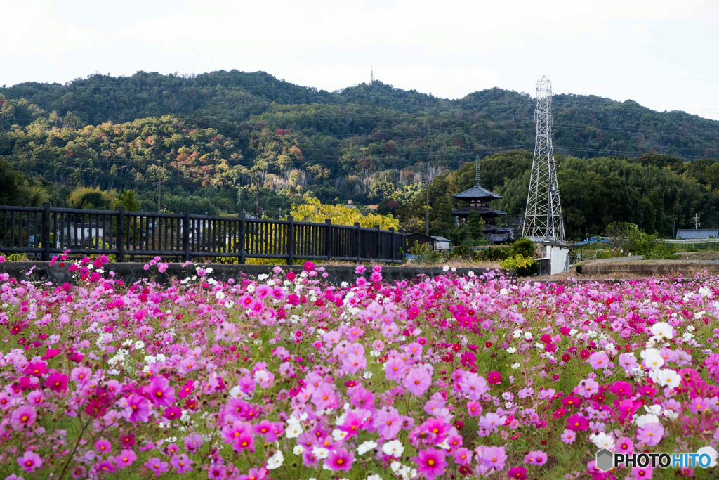 法輪寺