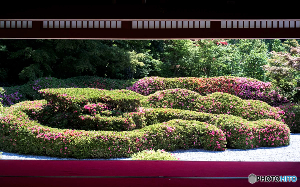 さつき寺