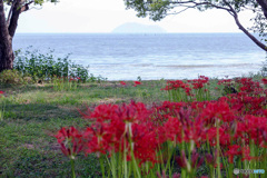 彼岸花の咲く風景7