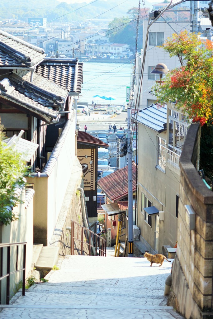 尾道散策②