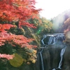 日本三名瀑　袋田の滝の紅葉