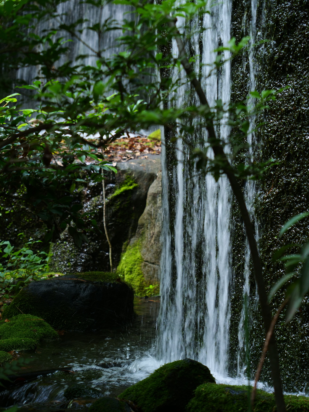 水急不渡月