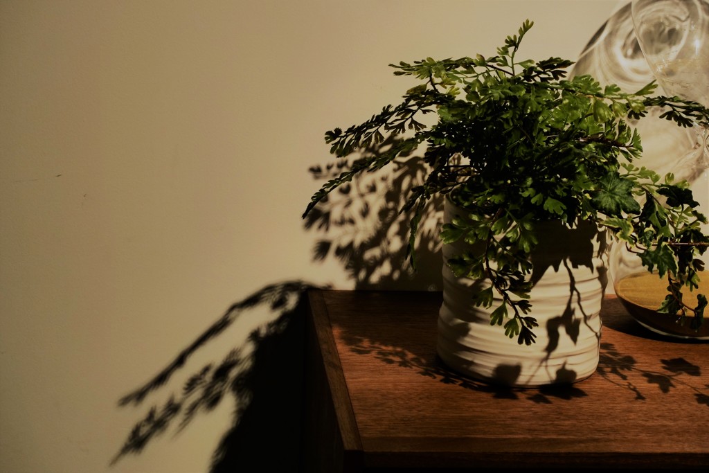 一行三昧