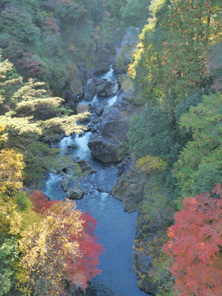 もの思いの限りを尽くして