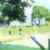 夏の日の思い出
