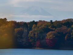 遥けき富士