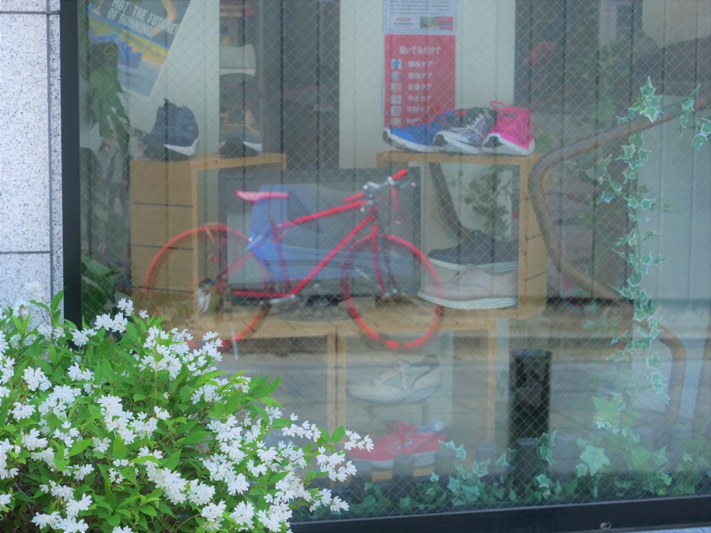 花の色、風の音