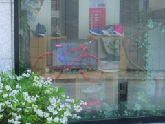 花の色、風の音
