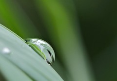 空に向かひて言うことなし。。。
