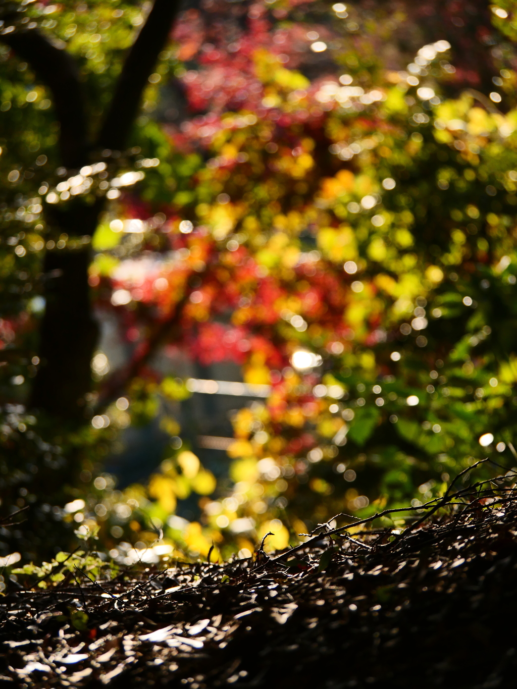 無一物中無尽蔵（むいちぶつちゅう、むじんぞう）
